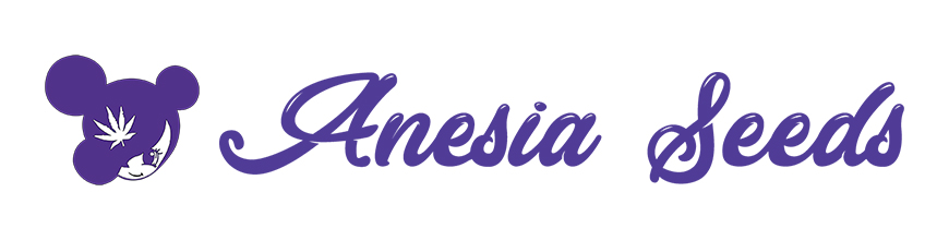 Anesia Seeds