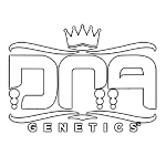 DNA Genetics