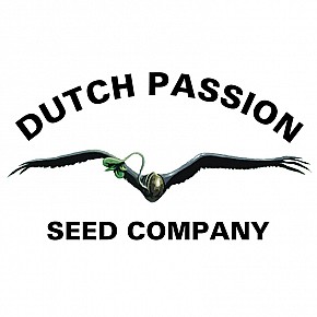 Dutch Passion | GMO Fast (3st)