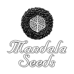 Mandala Seeds