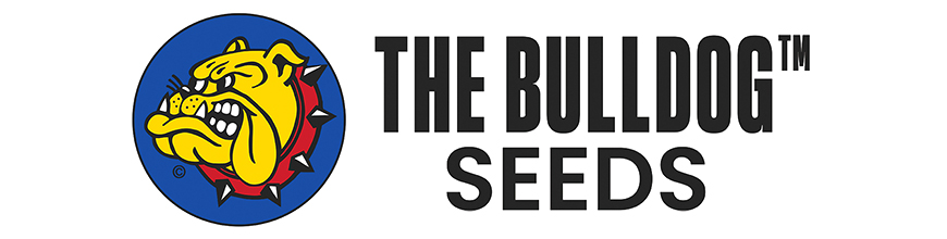 The Bulldog Seeds