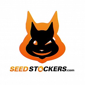 Seedstockers | Terp & Tonic Auto (3st)
