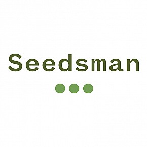 Seedsman | Gorilla Candy Auto (3st)