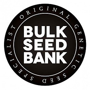 Bulk Seed Bank | Auto Perfect Power Plant (5st)