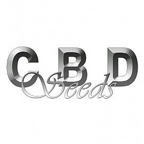CBD Seeds | Amnesia (3st)