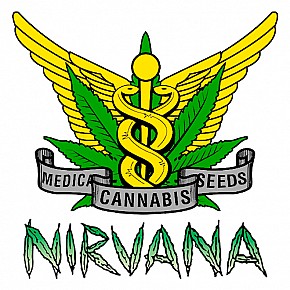 Nirvana | Jock Horror Auto (5st)