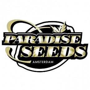 Paradise Seeds | Dutch Dragon (5pcs)