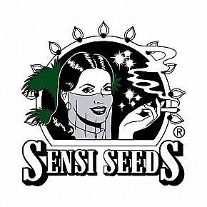 Sensi Seeds | Hindu Kush (5pcs)