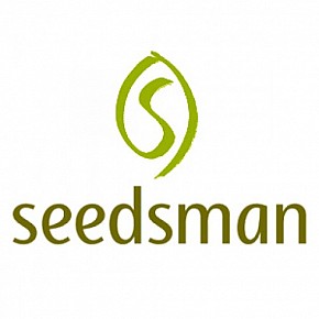 Sensi Seeds | Strawberry Banana Grape (5pcs)