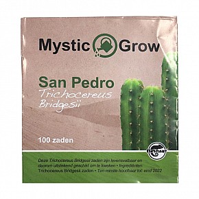 San Pedro T Bridgesii Seeds (100st)