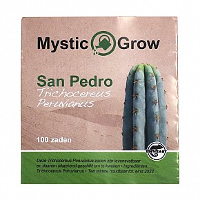 San Pedro T Peruvianus Seeds (100st)