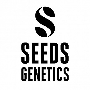 Seeds Genetics | 24K (3-pack)