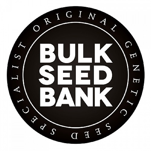 Bulk Seed Bank | Auto Amnesia Haze (10st)