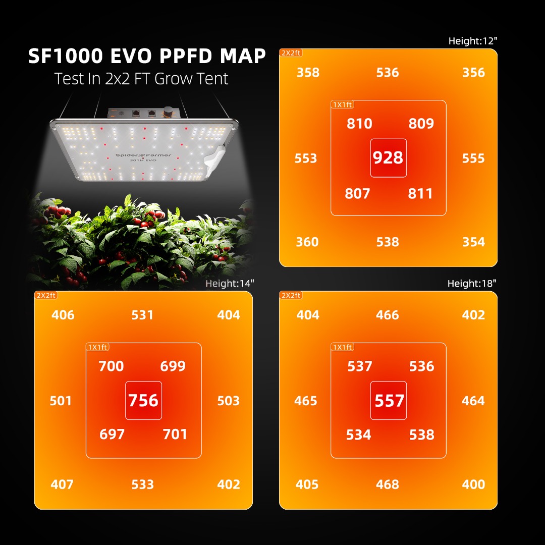 Spider Farm | Complete growkit SF-1000-SET (100W)