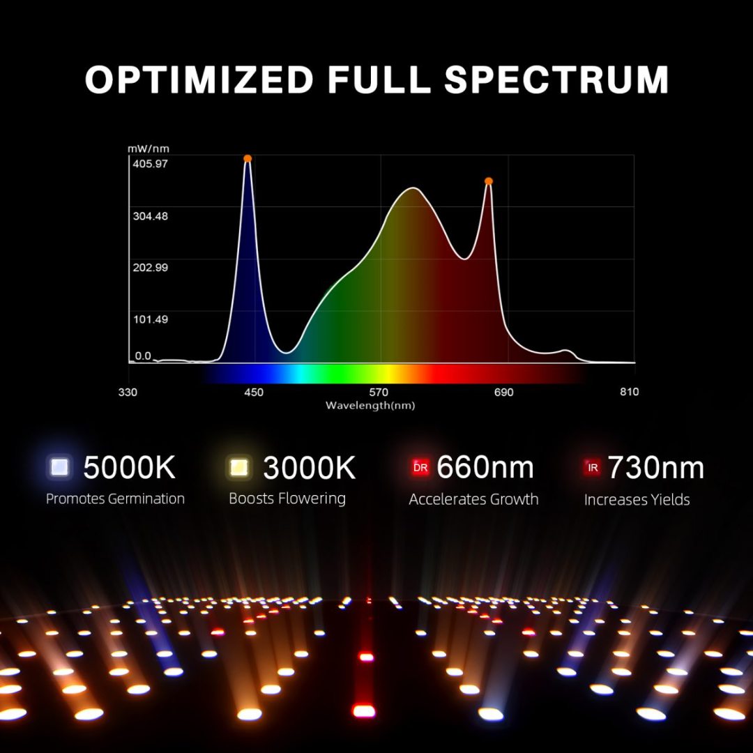 Spider Farm | Complete growkit SF-1000-SET (100W)