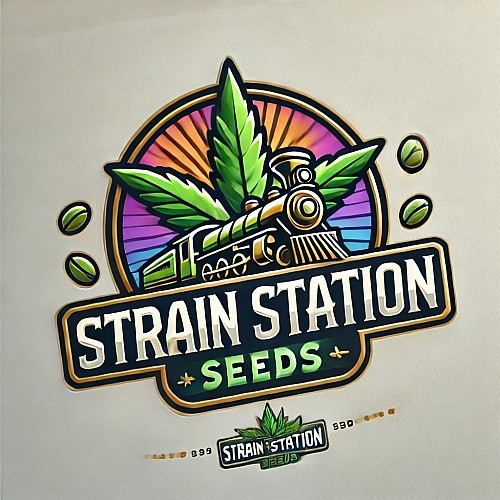 Strain Station | Blue Lime Dream (4-pack)