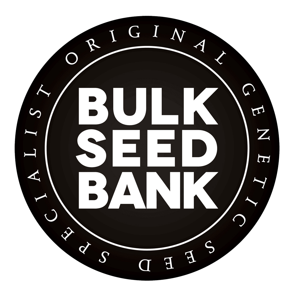 Bulk Seed Bank | CBD Cheese (5pcs)