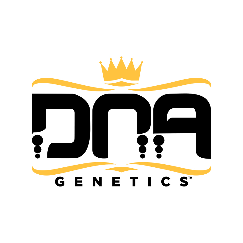 DNA Genetics | OG Kush (5-pack)