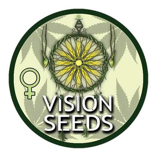 Vision Seeds | Lowryder Auto (10st)