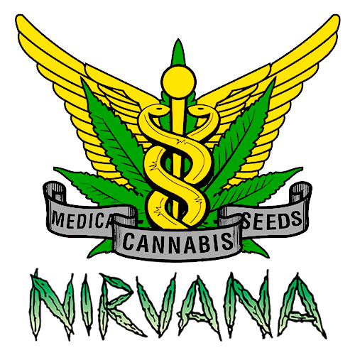 Nirvana | Jock Horror Auto (5st)
