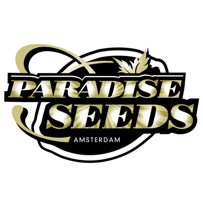 Paradise Seeds | Auto Whiteberry (5pcs)