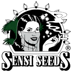 Sensi Seeds | Shiva Skunk (5st)