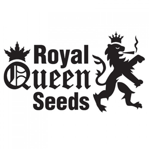 Royal Queen | Royal Jack Automatic (5pcs)