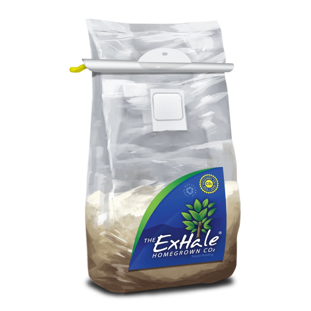 Exhale CO2 Bag