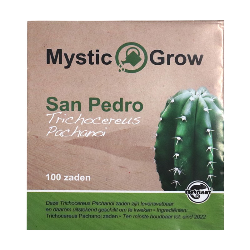 San Pedro T Pachanoi Seeds (100st)