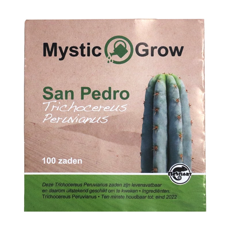 San Pedro T Peruvianus Seeds (100st)