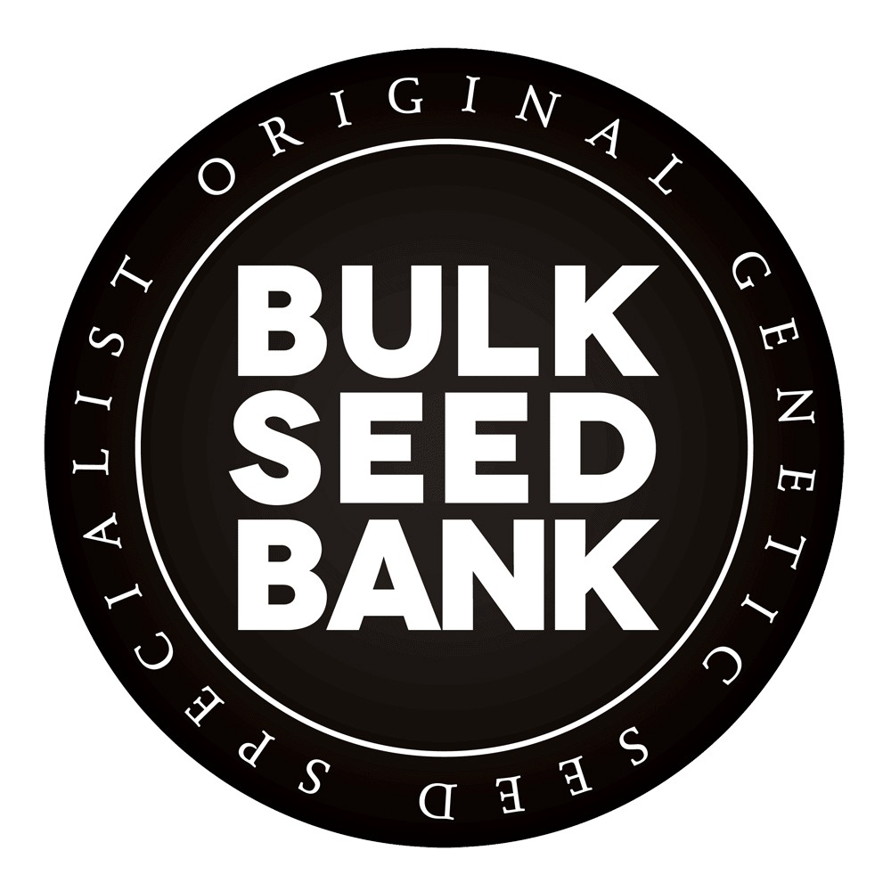 Bulk Seed Bank | Auto Good Wild Shark (10st)